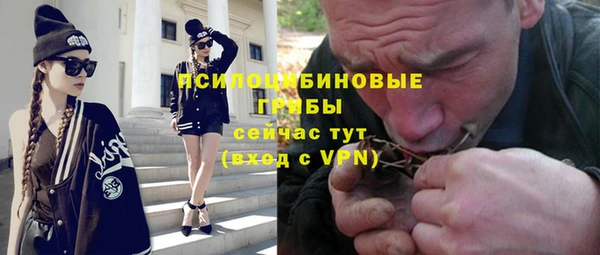 2c-b Богородицк