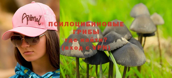 а пвп мука Богданович