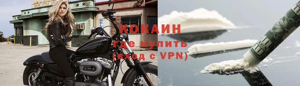 дмт Богородск