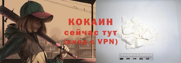 дмт Богородск