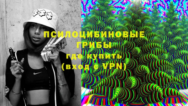 дмт Богородск